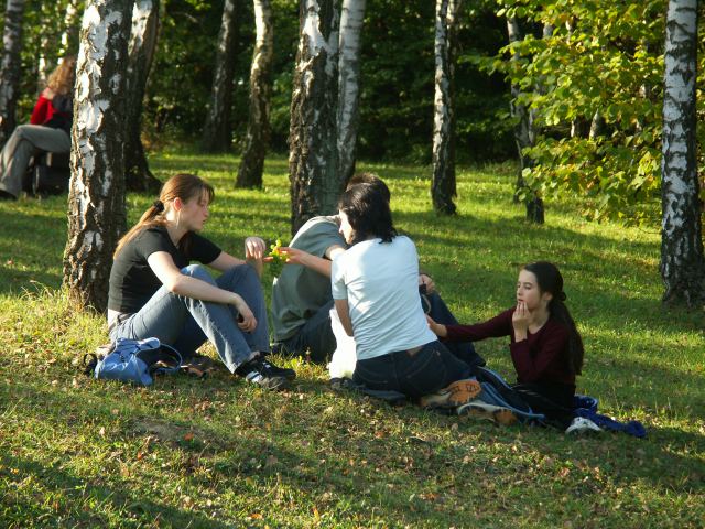 spis.php?category_id=244