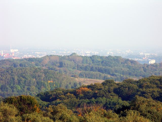 spis.php?category_id=244