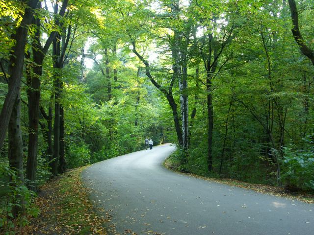 spis.php?category_id=244