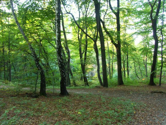 spis.php?category_id=244