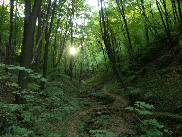 spis.php?category_id=244