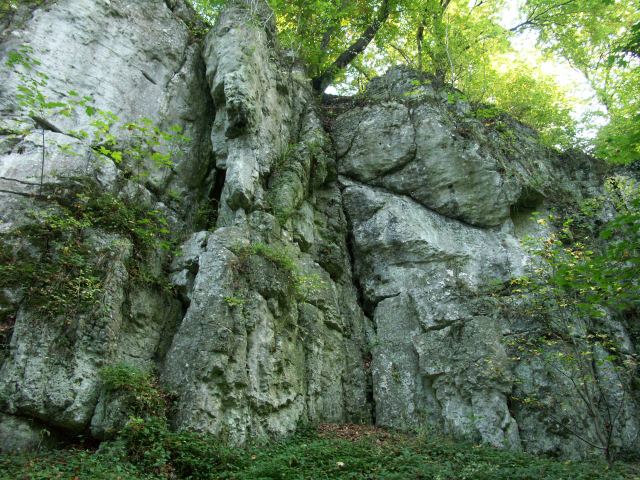 spis.php?category_id=244