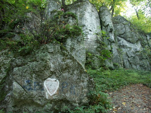 spis.php?category_id=244