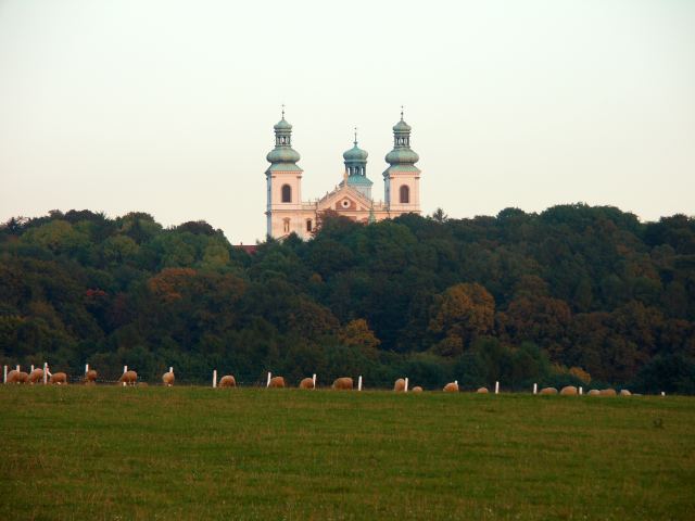 spis.php?category_id=244