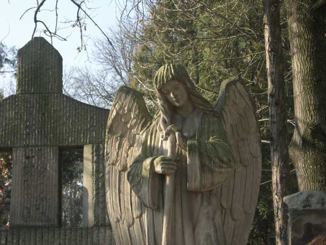 spis.php?category_id=261