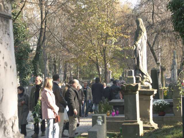 spis.php?category_id=261