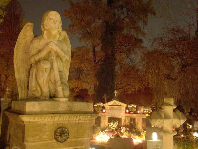 spis.php?category_id=261