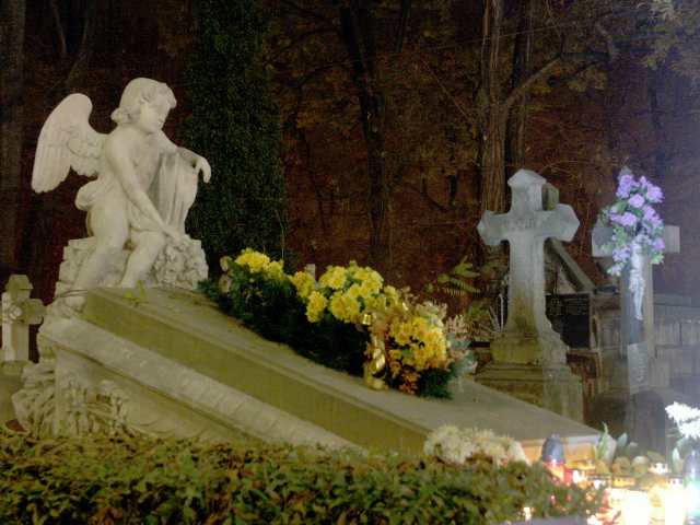 spis.php?category_id=261