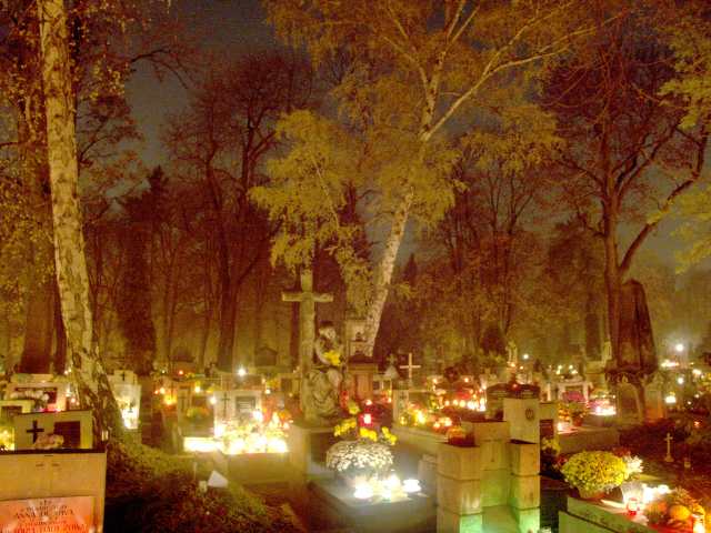 spis.php?category_id=261