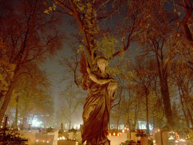 spis.php?category_id=261