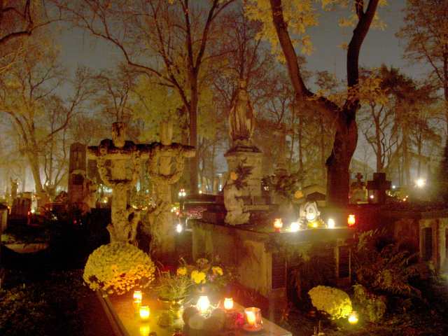 spis.php?category_id=261