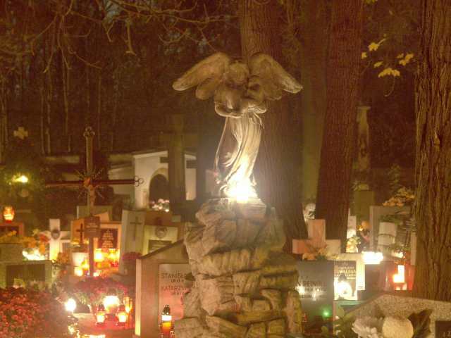 spis.php?category_id=261