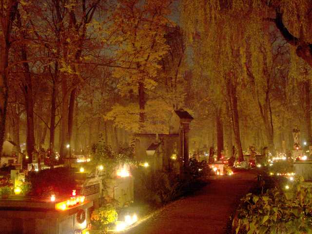 spis.php?category_id=261