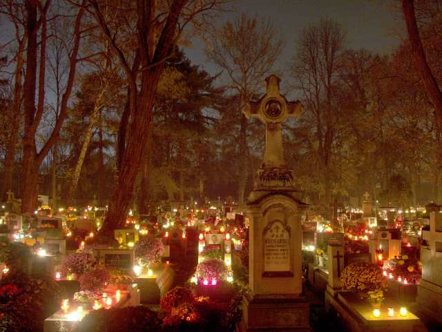 spis.php?category_id=261