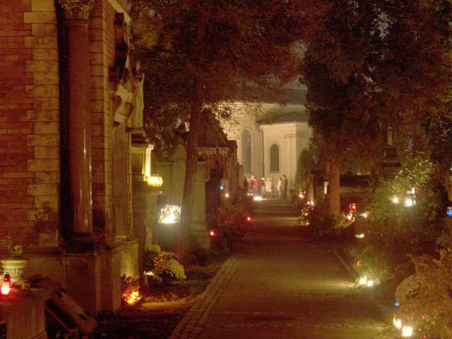 spis.php?category_id=261