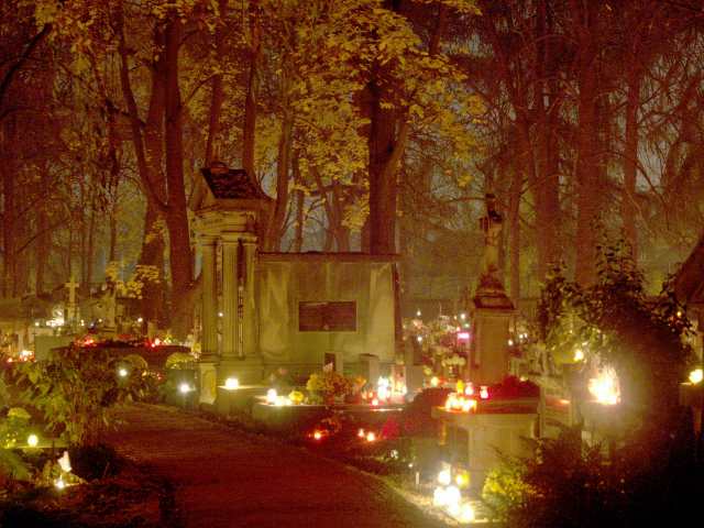 spis.php?category_id=261