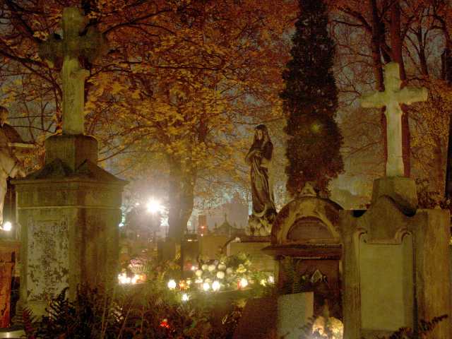 spis.php?category_id=261