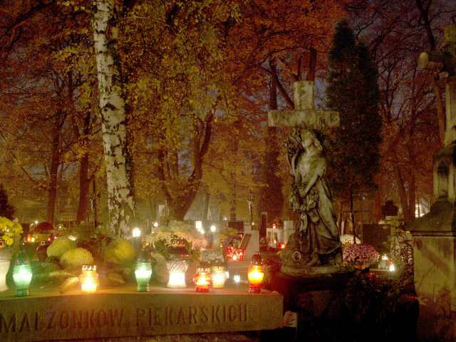 spis.php?category_id=261