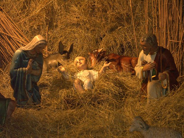 spis.php?category_id=240