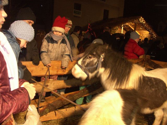 spis.php?category_id=250