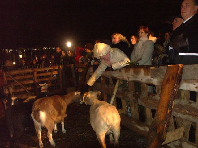 spis.php?category_id=250