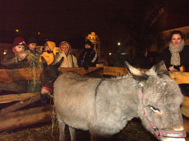 spis.php?category_id=250