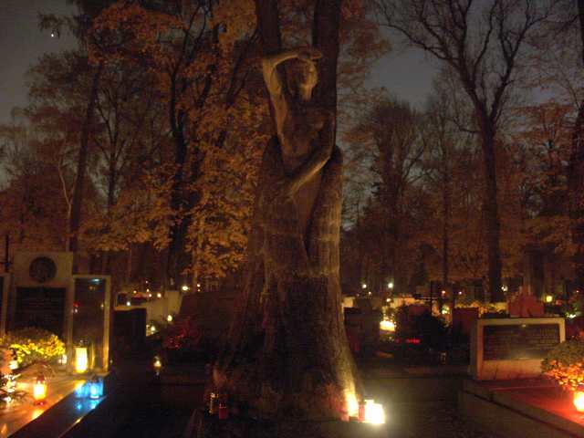 spis.php?category_id=262