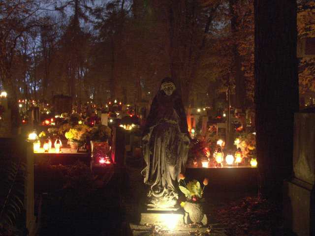 spis.php?category_id=262