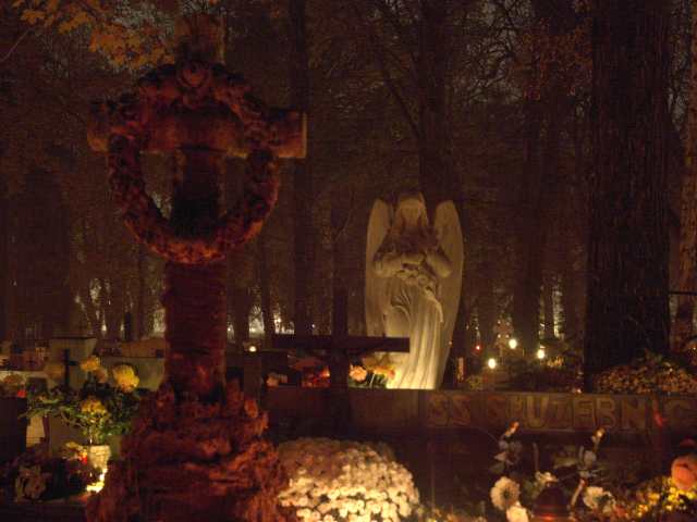 spis.php?category_id=262