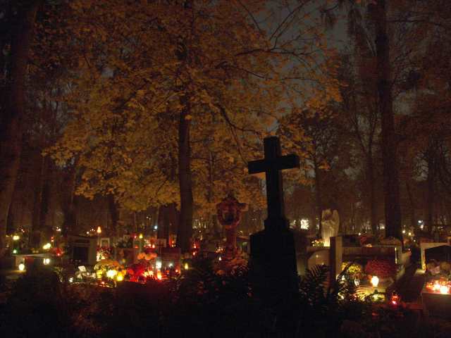 spis.php?category_id=262