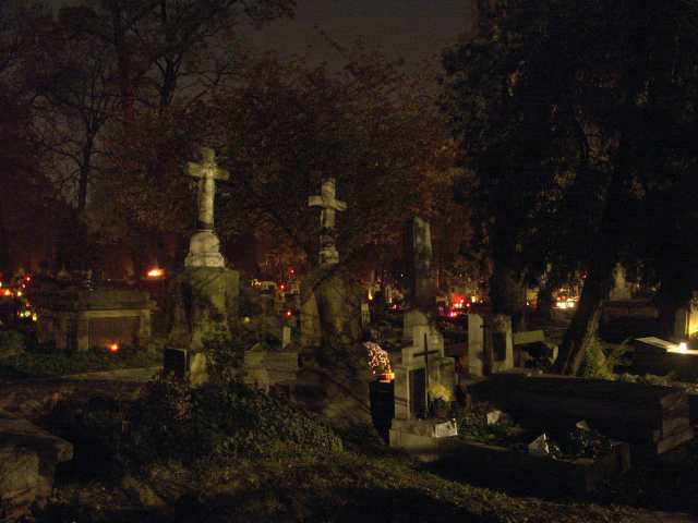 spis.php?category_id=262