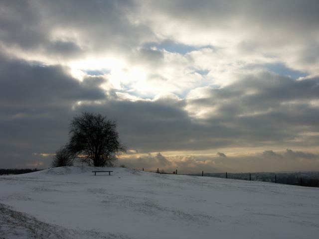 spis.php?category_id=263