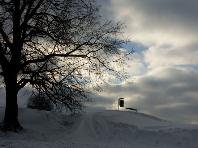 spis.php?category_id=263