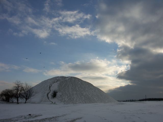 spis.php?category_id=263