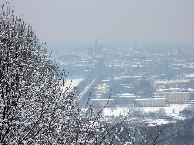 spis.php?category_id=263