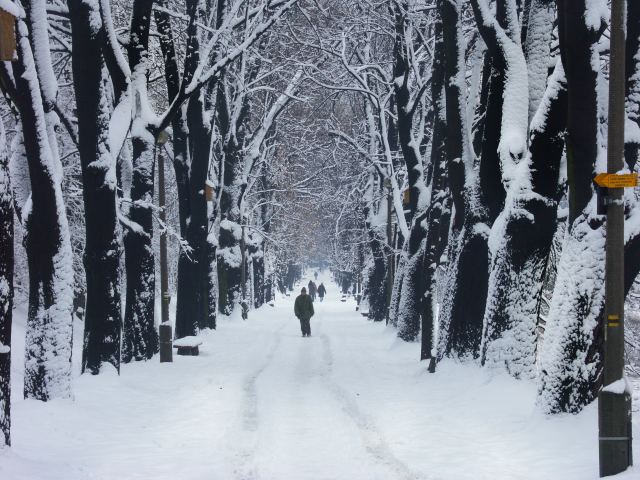 spis.php?category_id=263