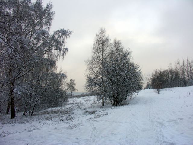 spis.php?category_id=263