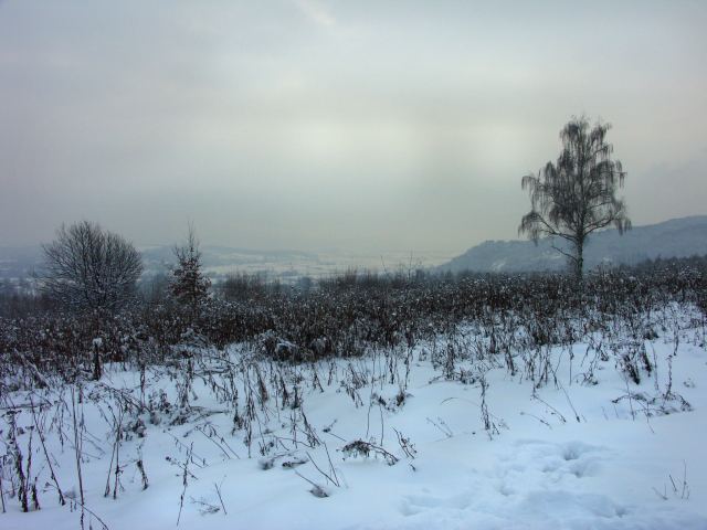 spis.php?category_id=263