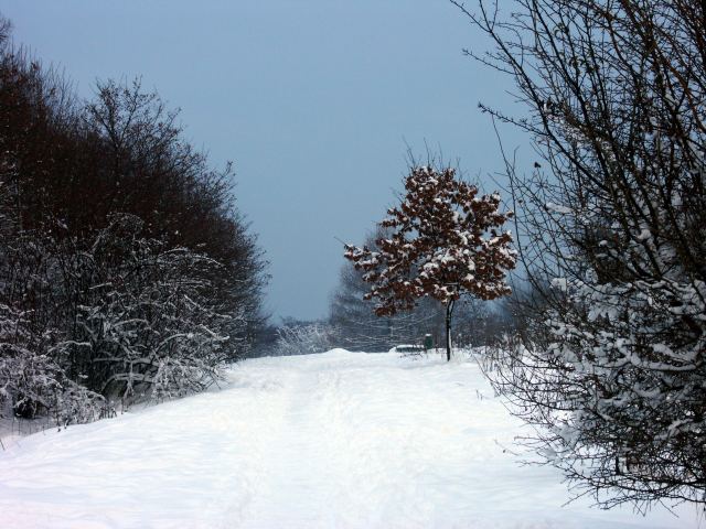 spis.php?category_id=263