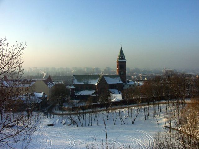 spis.php?category_id=263