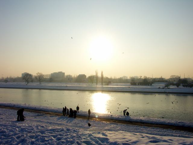 spis.php?category_id=263