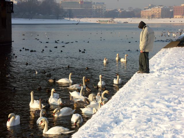 spis.php?category_id=263