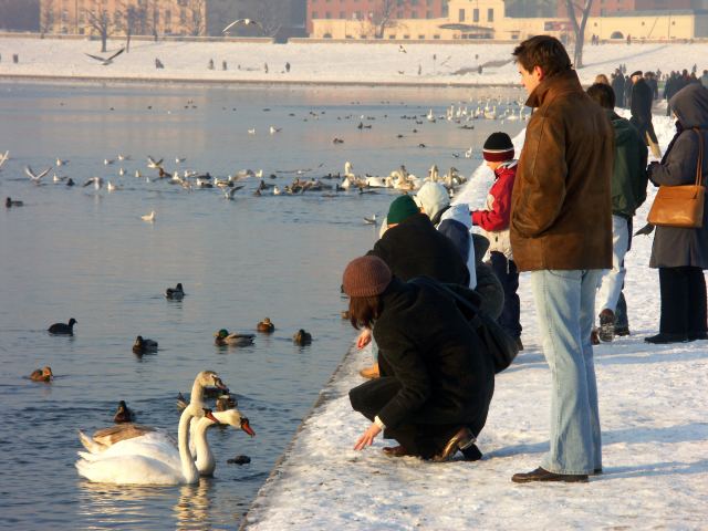 spis.php?category_id=263