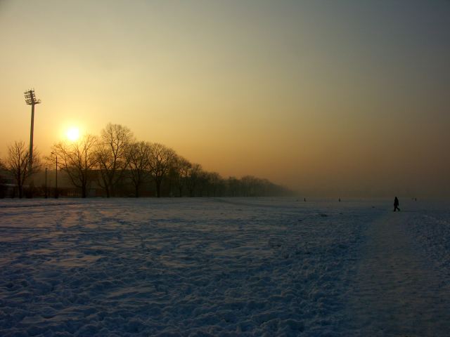 spis.php?category_id=263