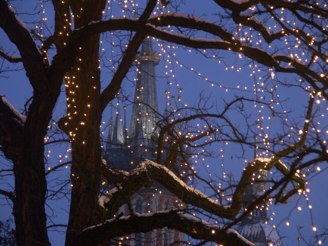 spis.php?category_id=263