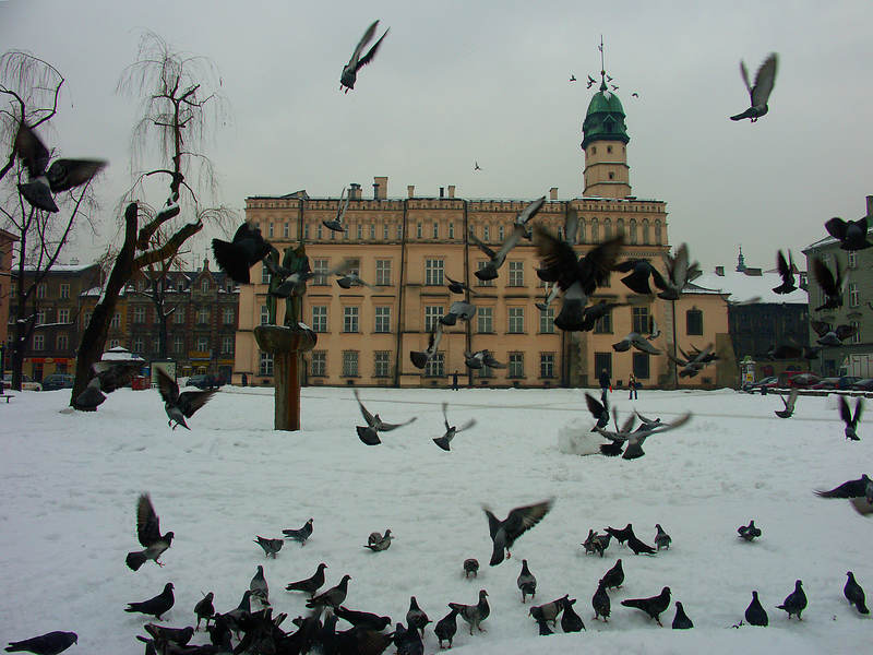 spis.php?category_id=265