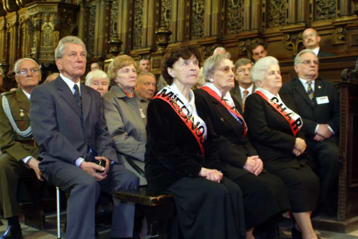 spis.php?category_id=270