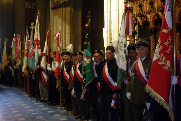 spis.php?category_id=270