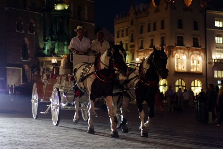 spis.php?category_id=278