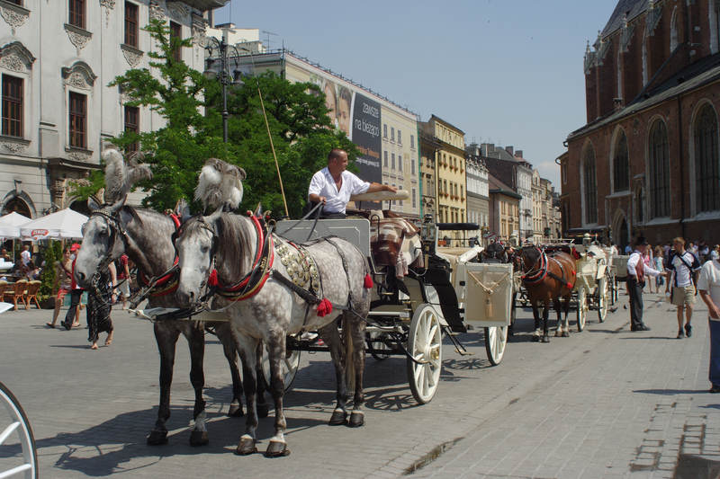 spis.php?category_id=279